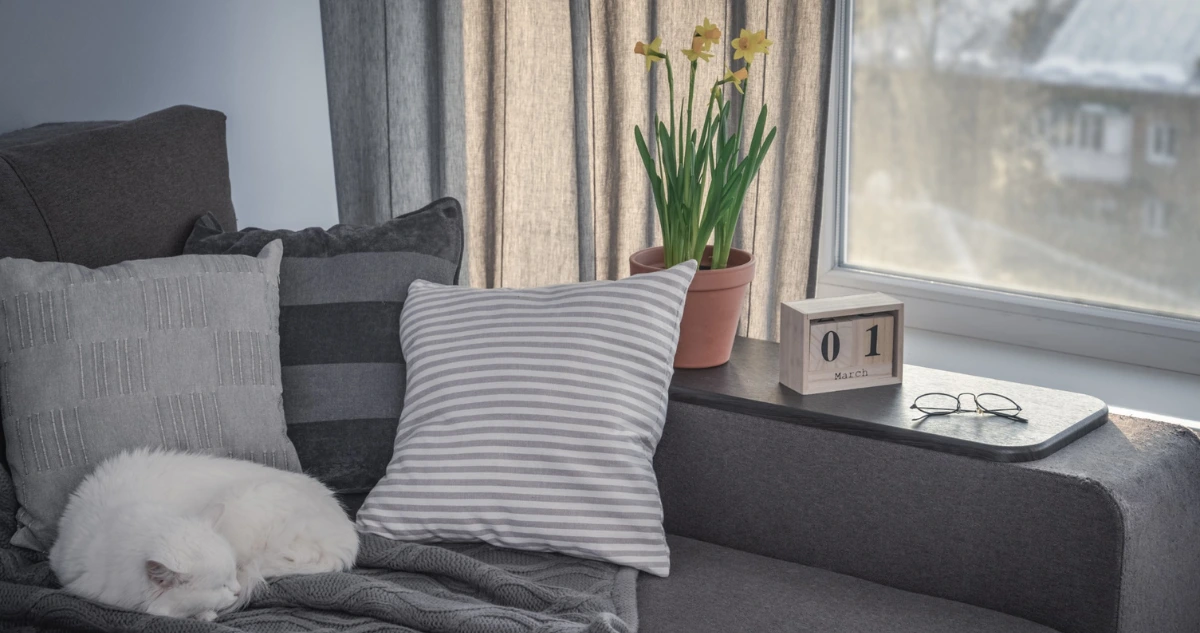 Cat laying comfortably on a couch.